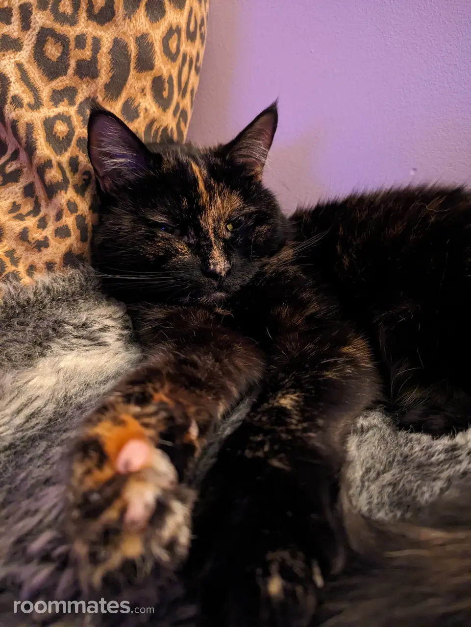 Profile photo 3 of 3