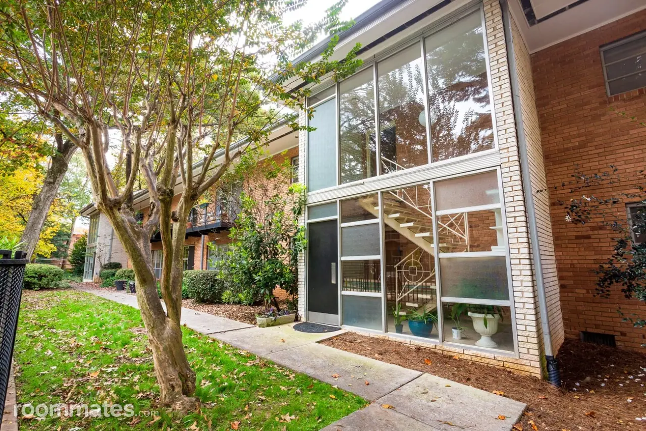 Profile photo 4 of 11