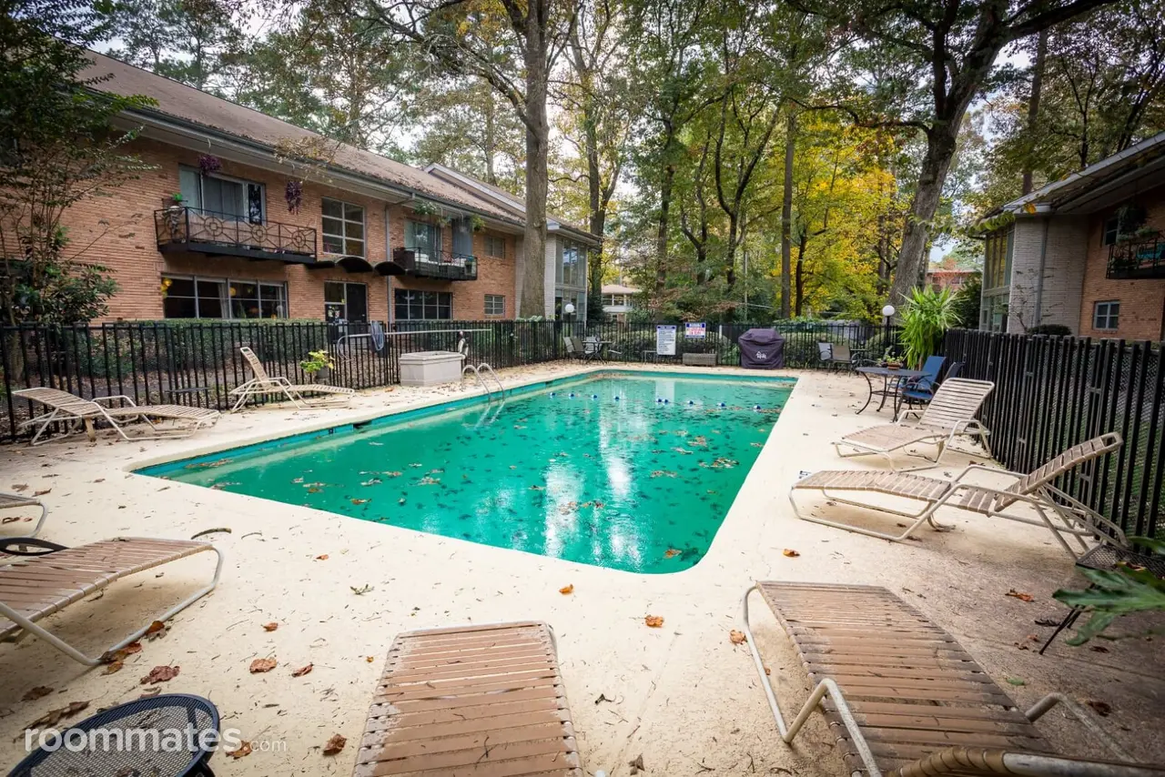 Profile photo 10 of 11