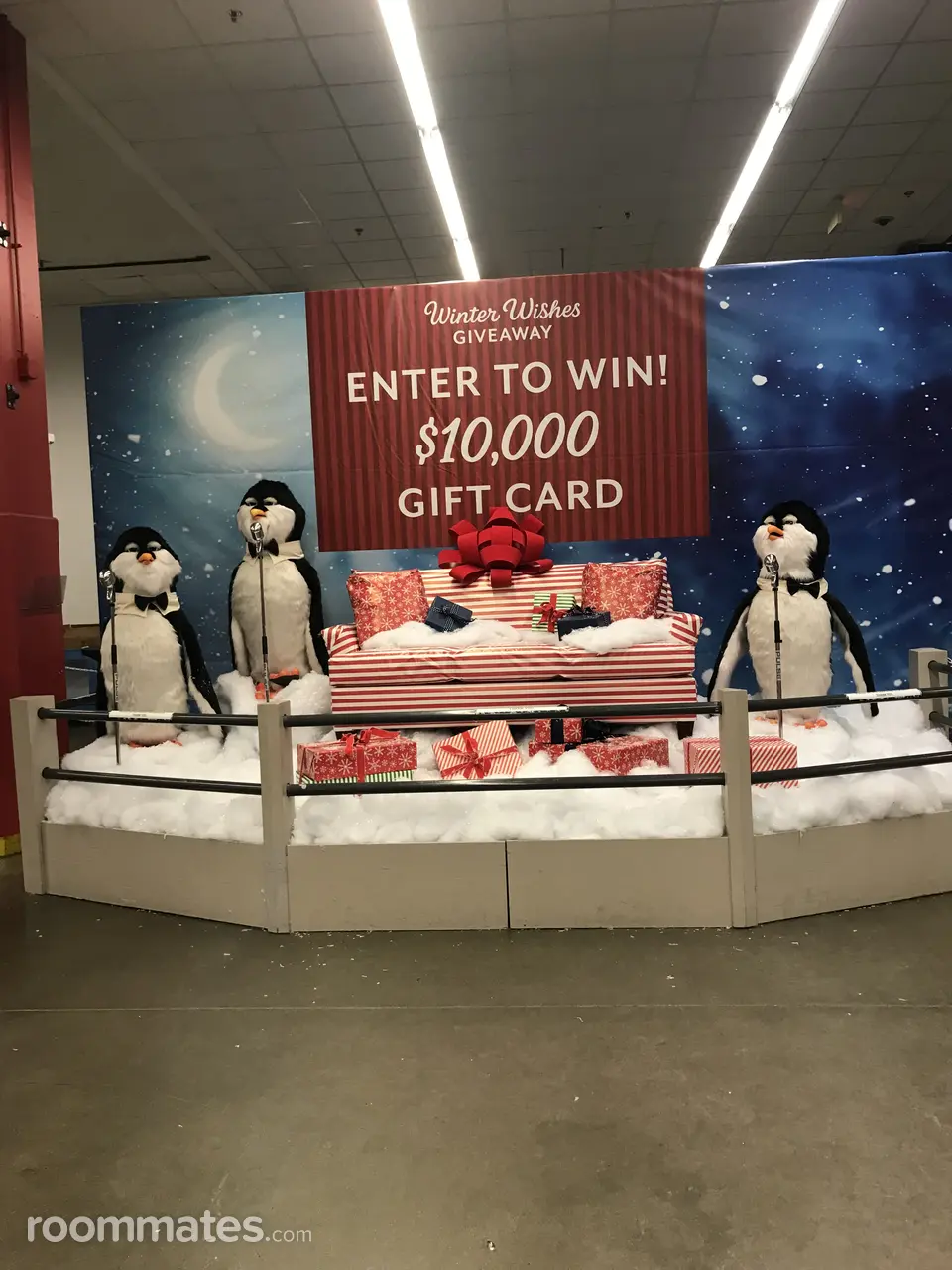 Profile photo 4 of 12