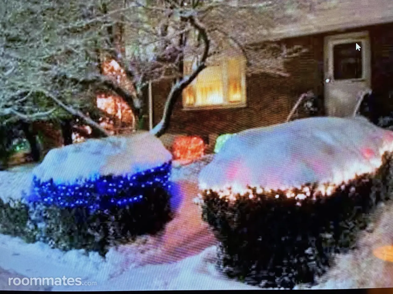 Profile photo 3 of 12