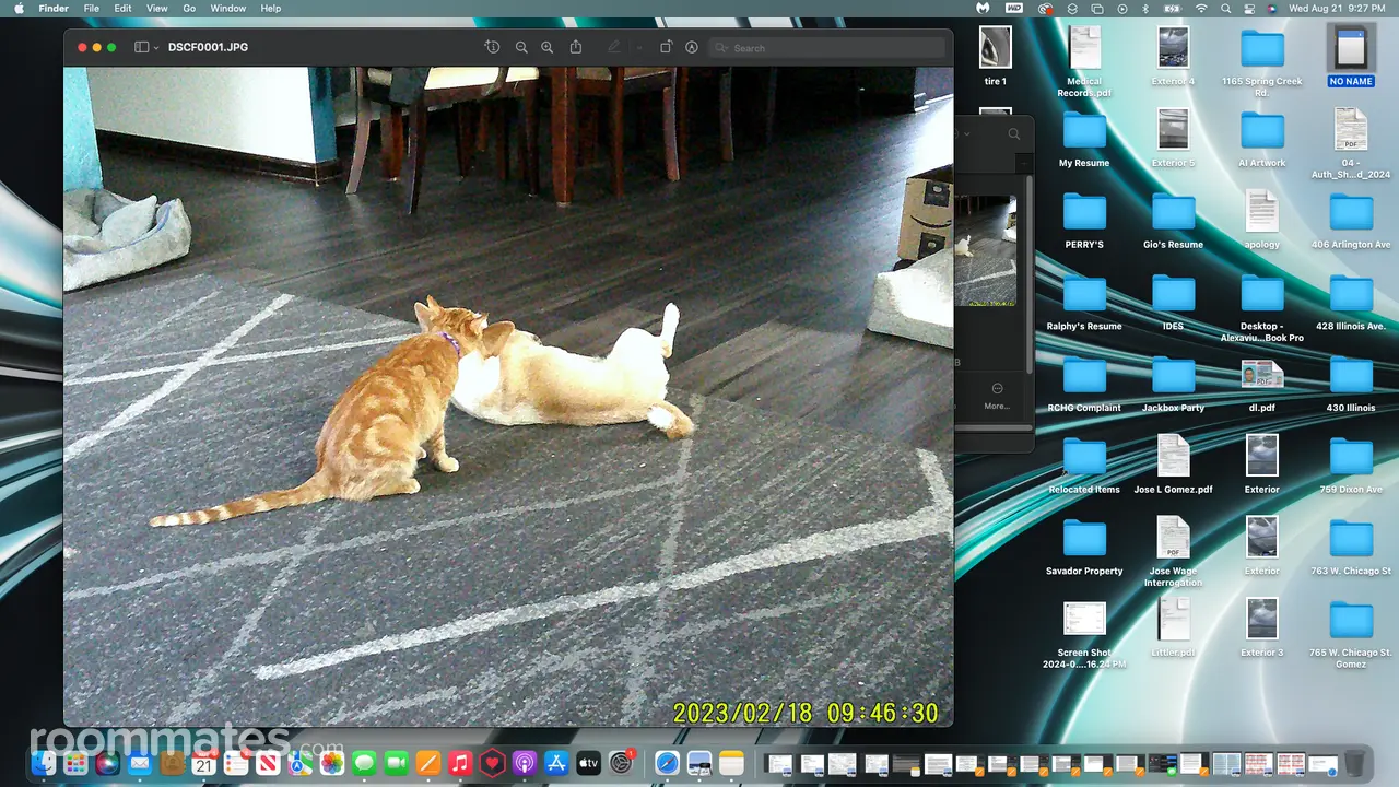 Profile photo 5 of 5