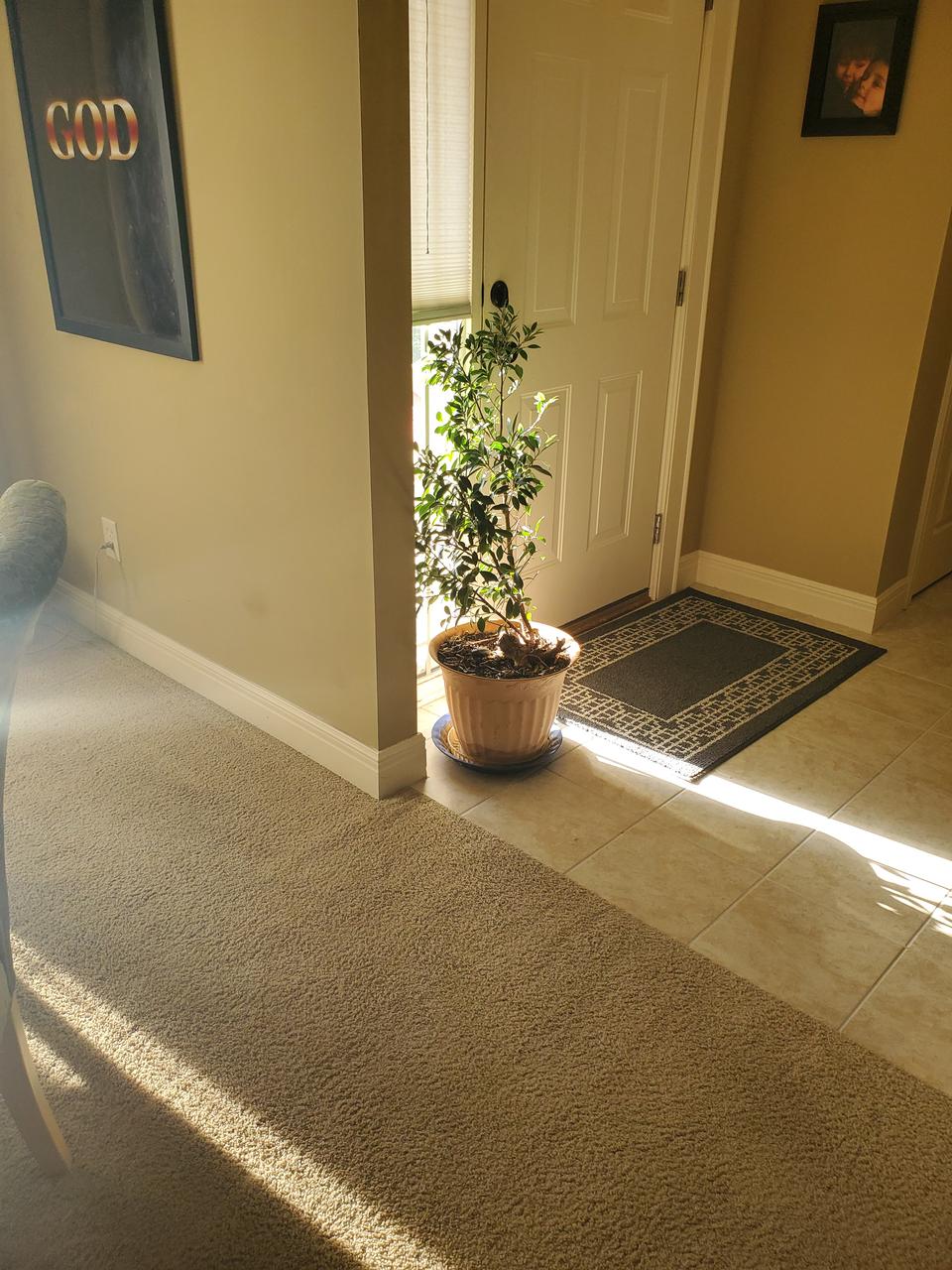 Profile photo 8 of 10