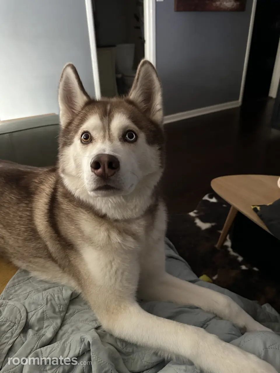 Profile photo 2 of 7