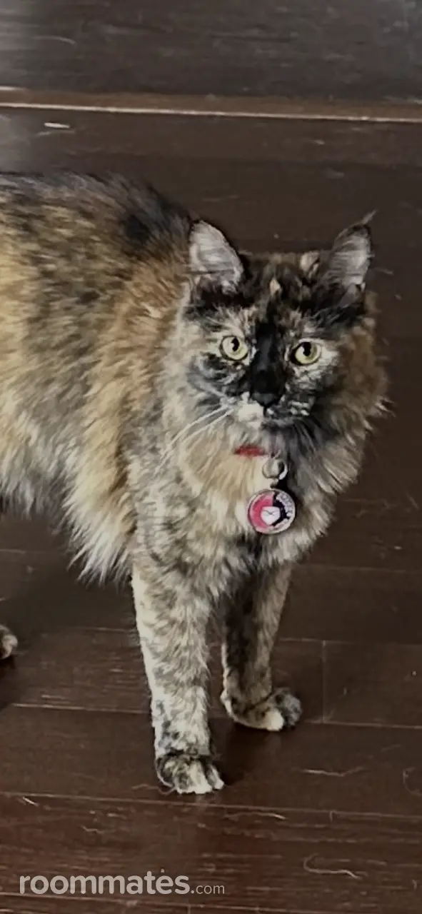 Profile photo 5 of 7