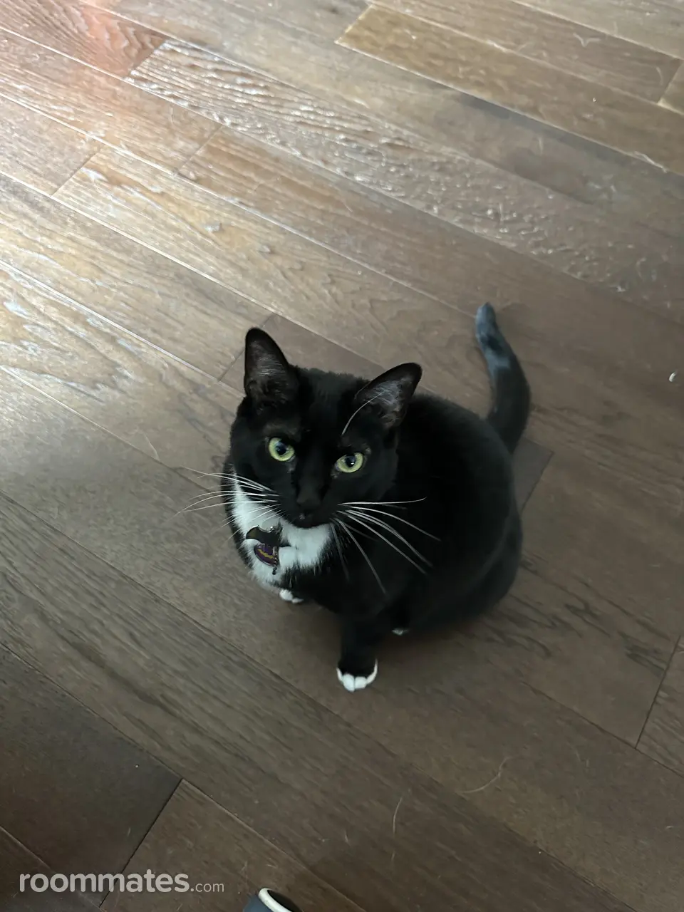 Profile photo 3 of 7