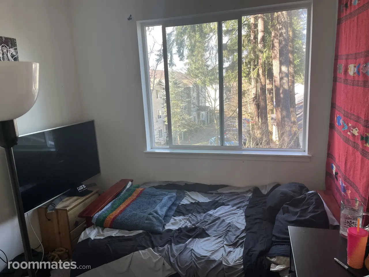 Profile photo 8 of 10