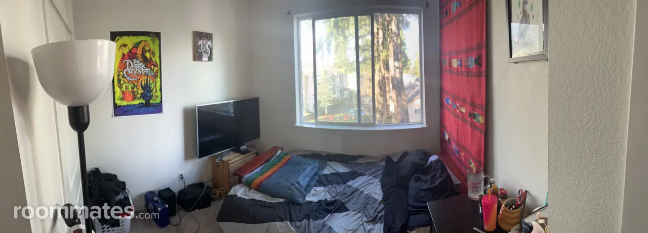 Profile photo 4 of 10