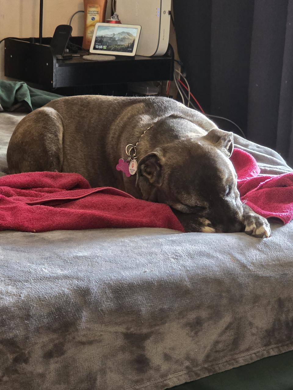 Profile photo 4 of 4