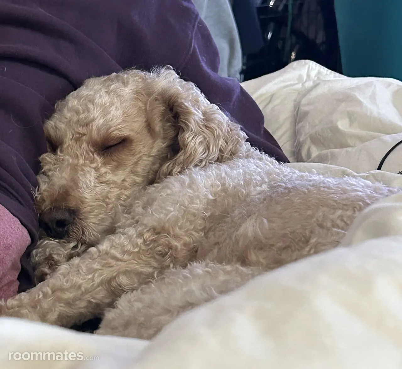 Profile photo 2 of 2