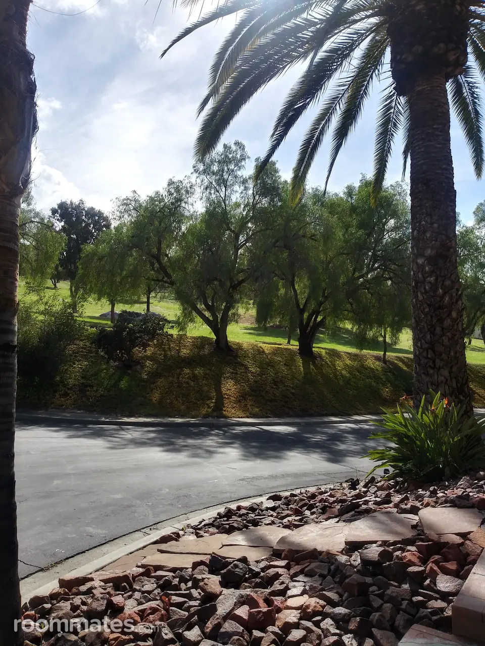 Profile photo 3 of 8