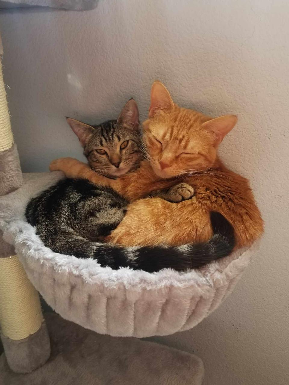 Profile photo 9 of 10