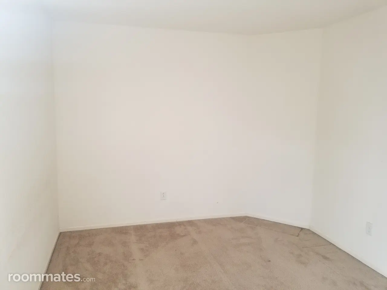 Profile photo 4 of 10