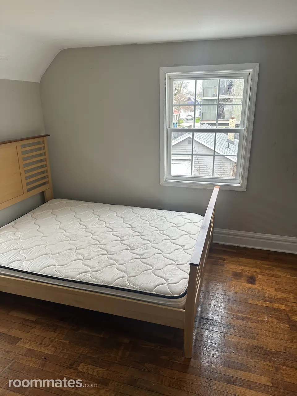 Profile photo 1 of 12