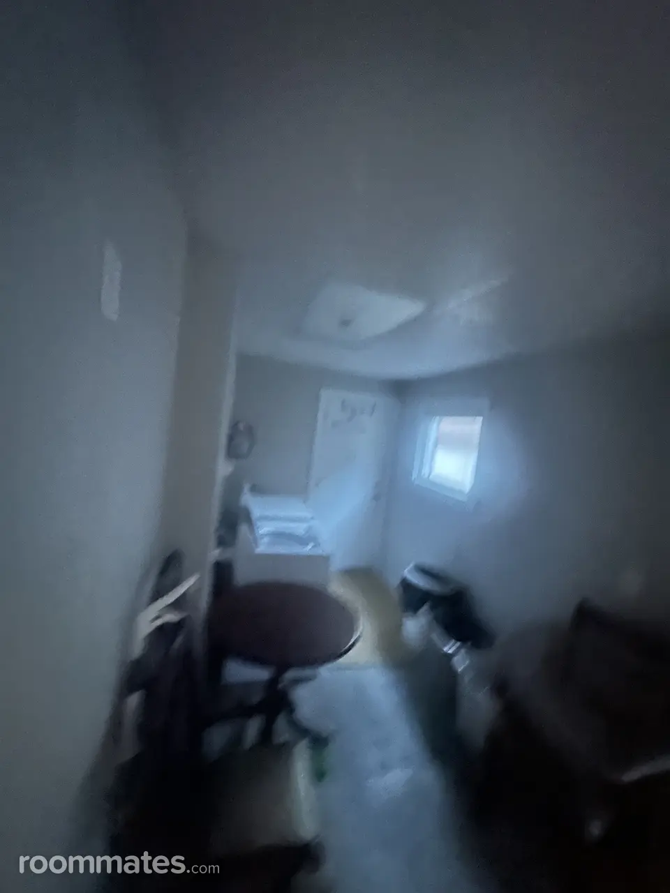 Profile photo 11 of 12