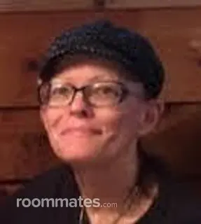 Roommate looking Jacksonville, FL, $700