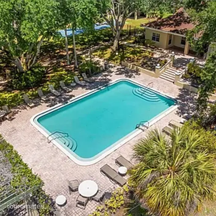 Room for rent in Palm Harbor, FL $800, condo