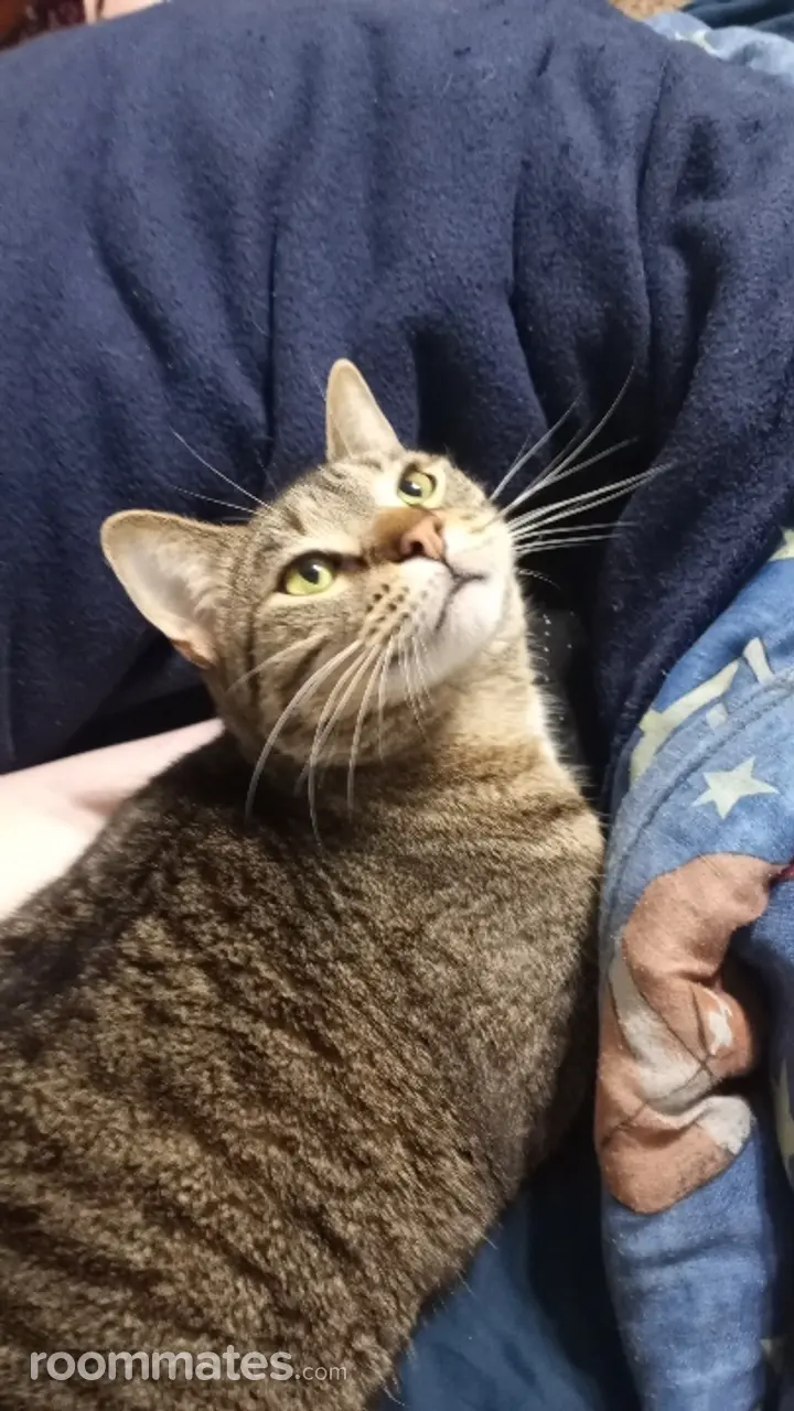 Profile photo 3 of 4