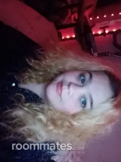 Roommate looking Des Moines, IA, $500