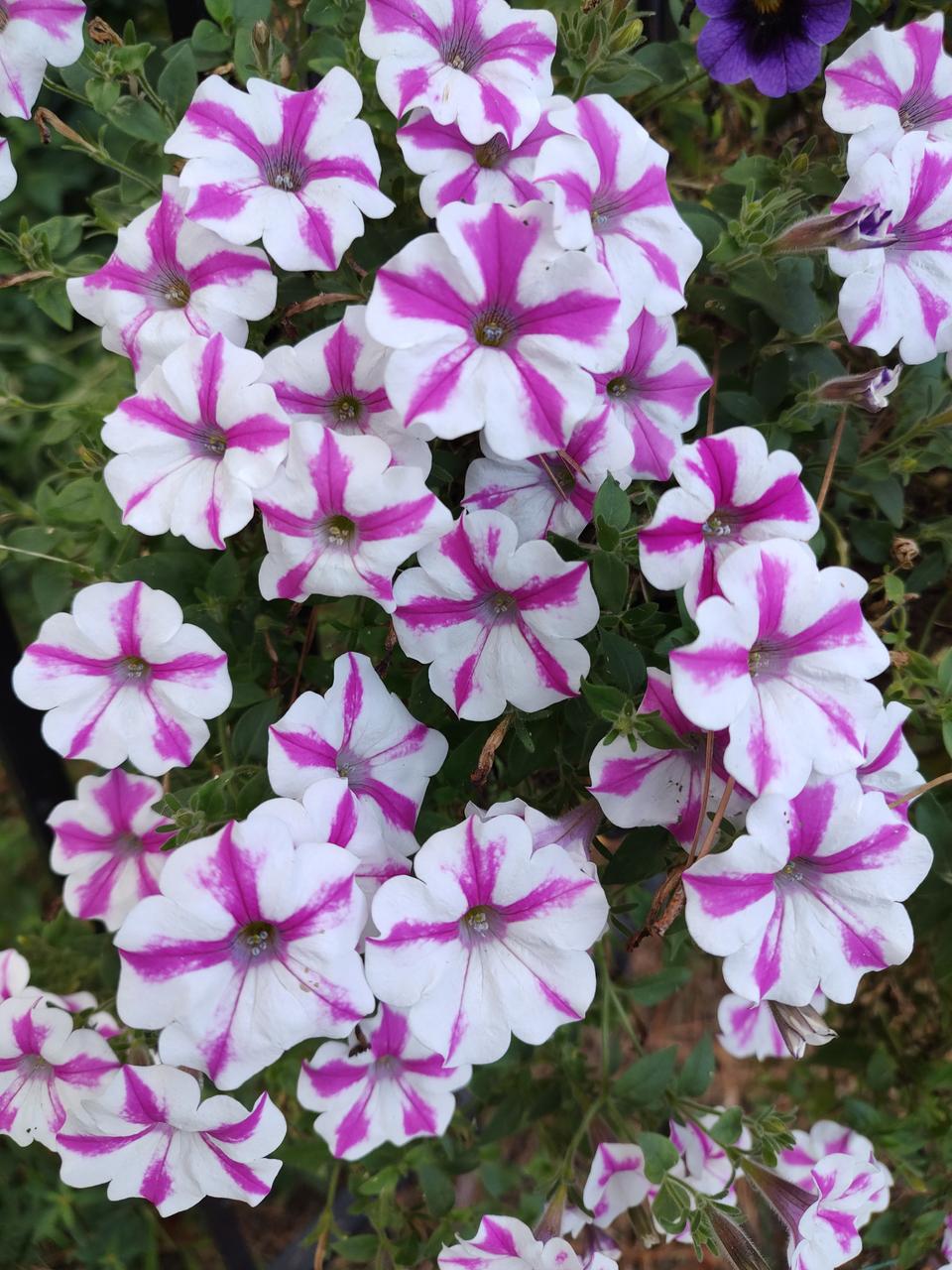 Profile photo 10 of 11