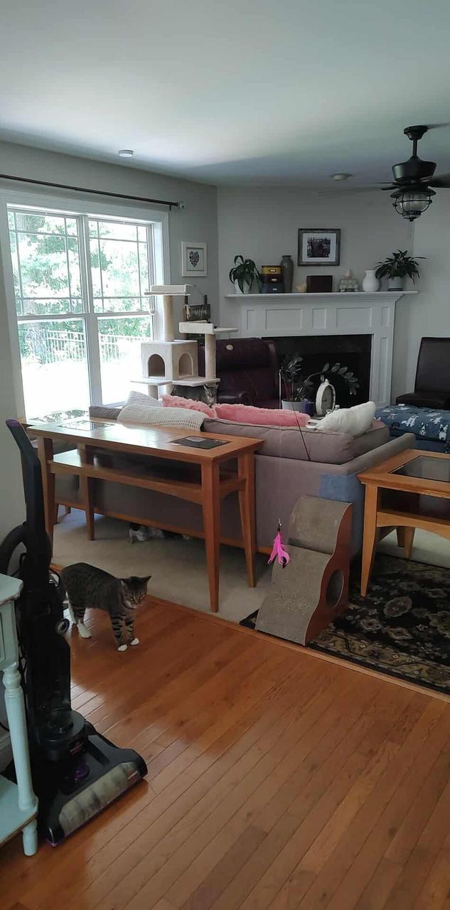 Profile photo 6 of 11