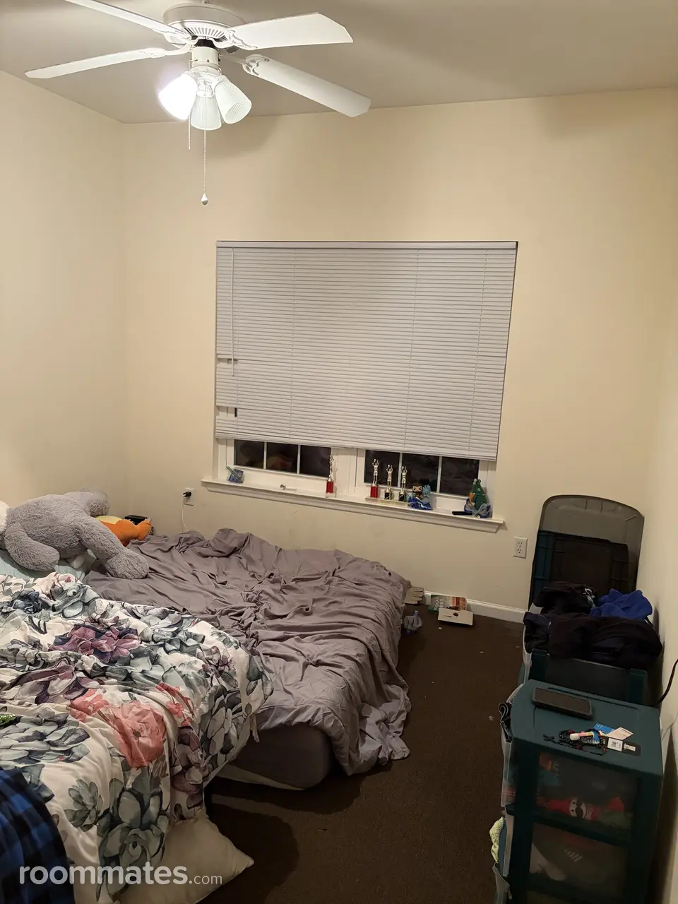 Profile photo 1 of 4