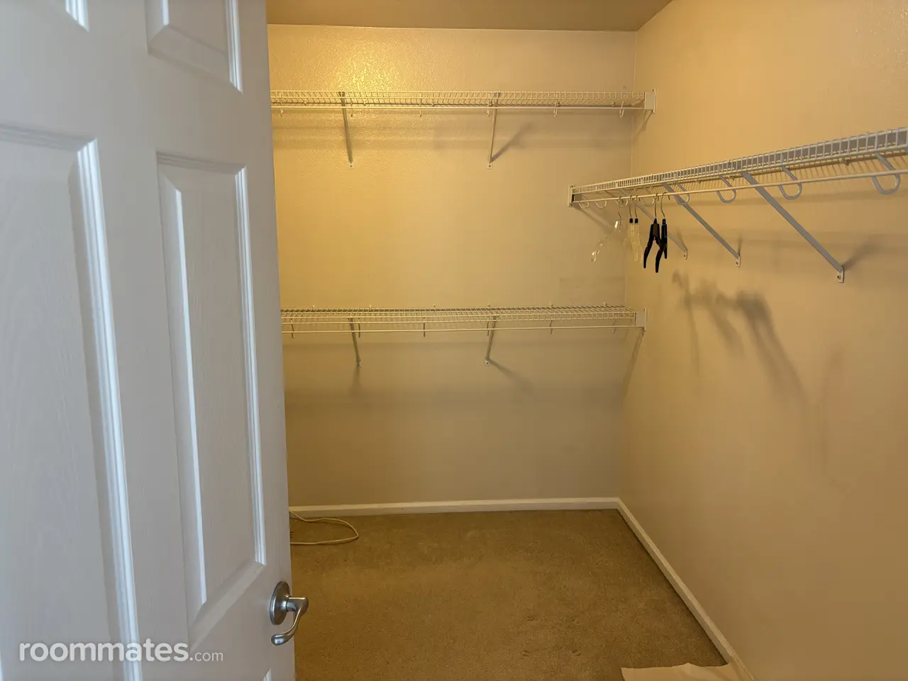 Profile photo 13 of 15