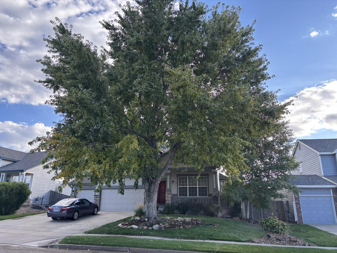 Profile photo 8 of 15