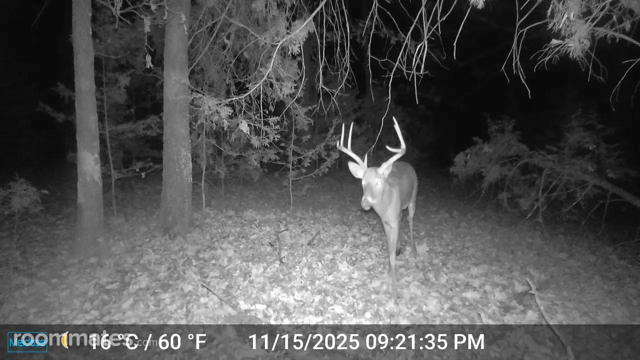 Profile photo 1 of 2