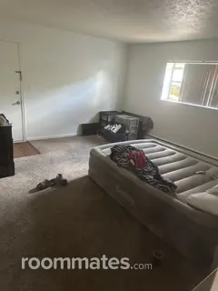 Room for rent in Austintown, OH $500, apartment