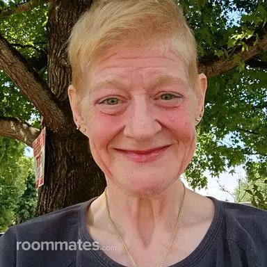 Roommate looking Veneta, OR, $800