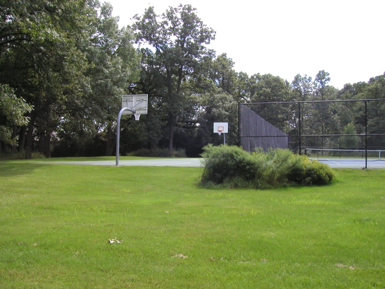 Profile photo 12 of 20