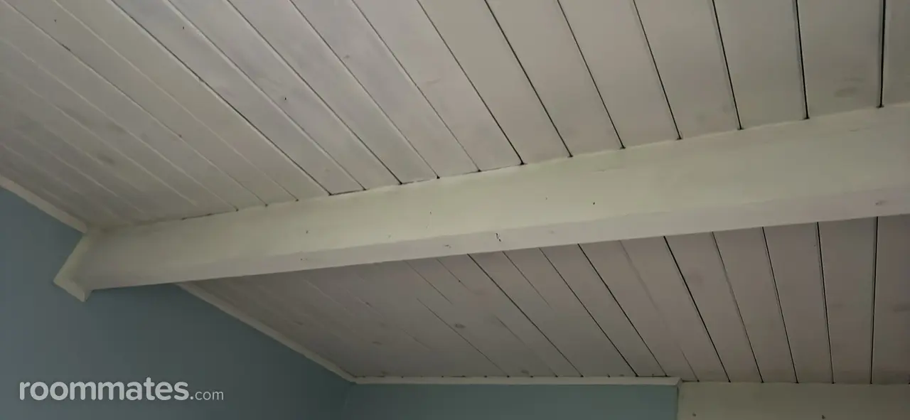 Profile photo 2 of 5