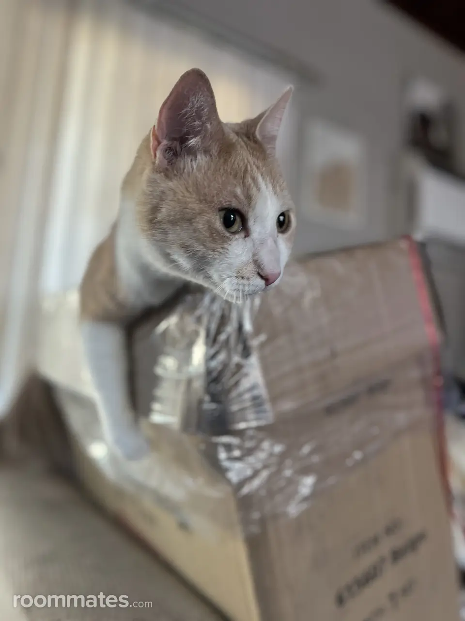 Profile photo 5 of 5