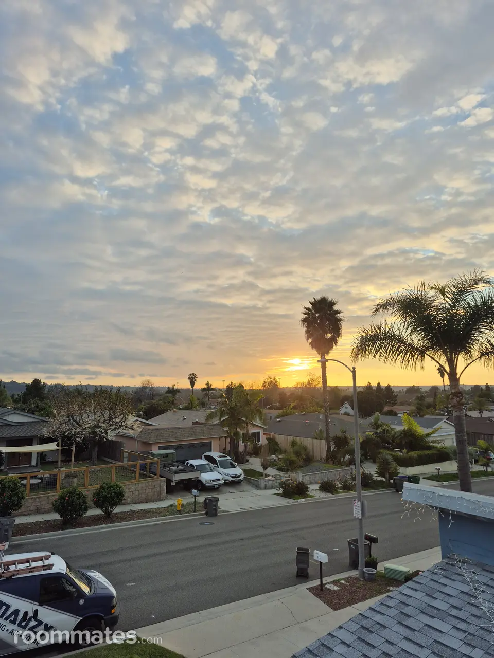 Profile photo 8 of 15