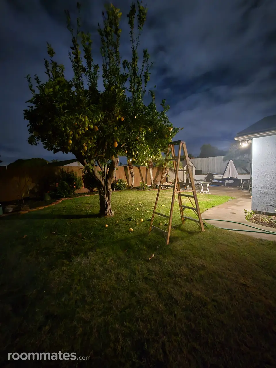 Profile photo 10 of 15