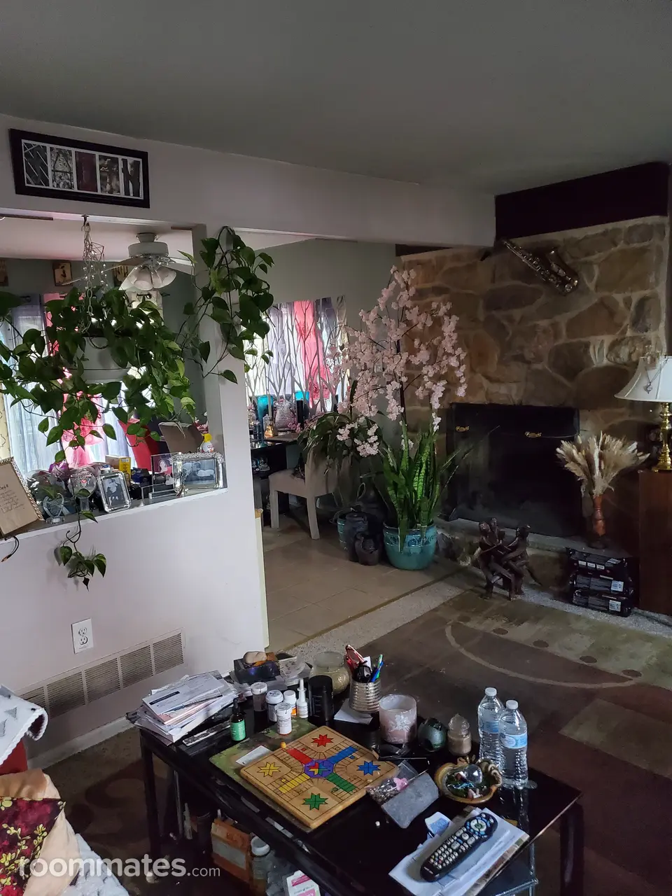 Profile photo 4 of 15