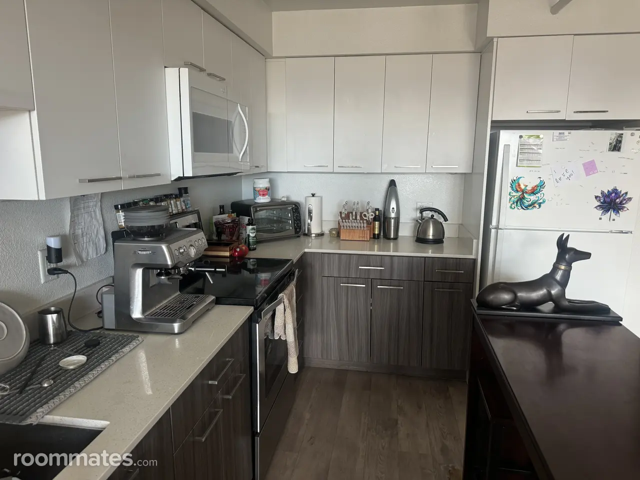 Profile photo 1 of 11