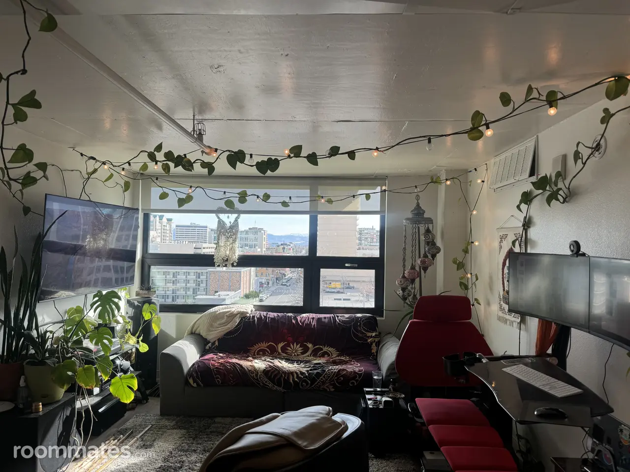 Profile photo 2 of 11