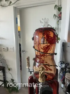 Room for rent in Reno, NV $950, apartment