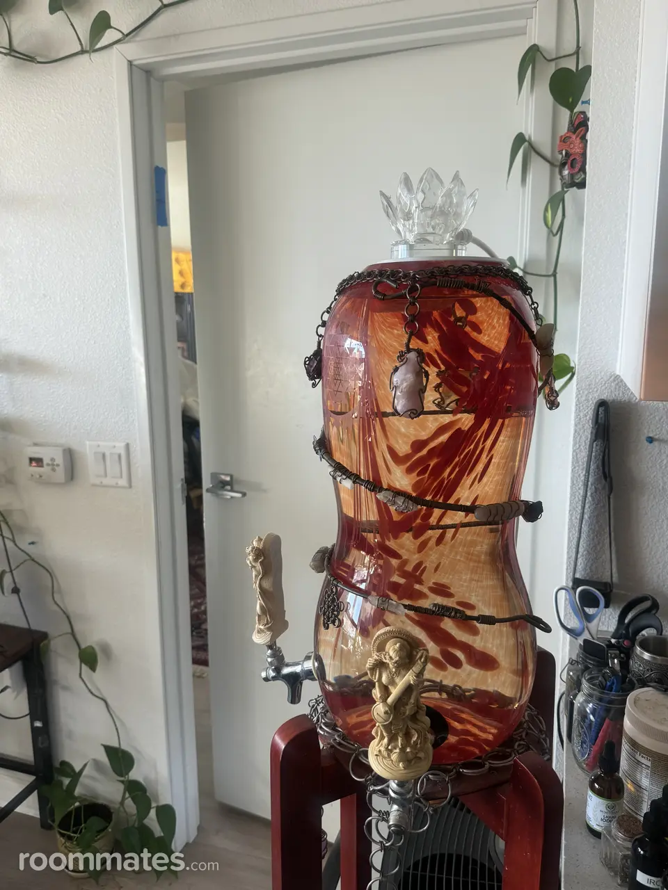 Profile photo 10 of 11