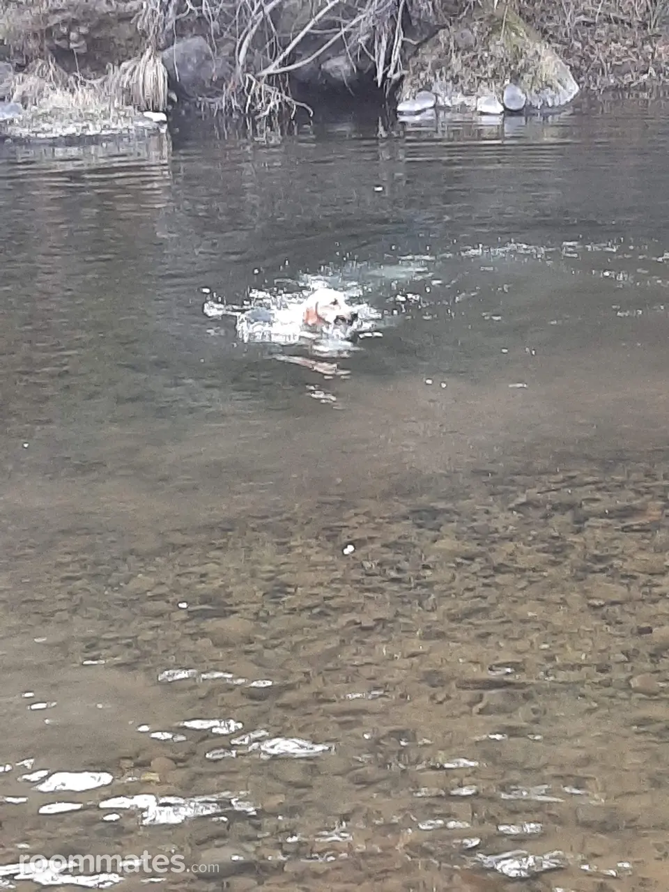 Profile photo 3 of 16