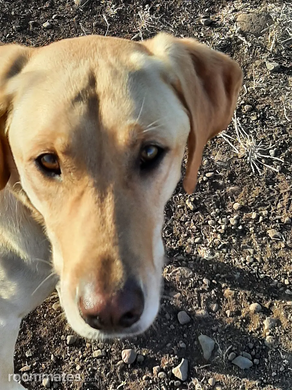 Profile photo 4 of 16