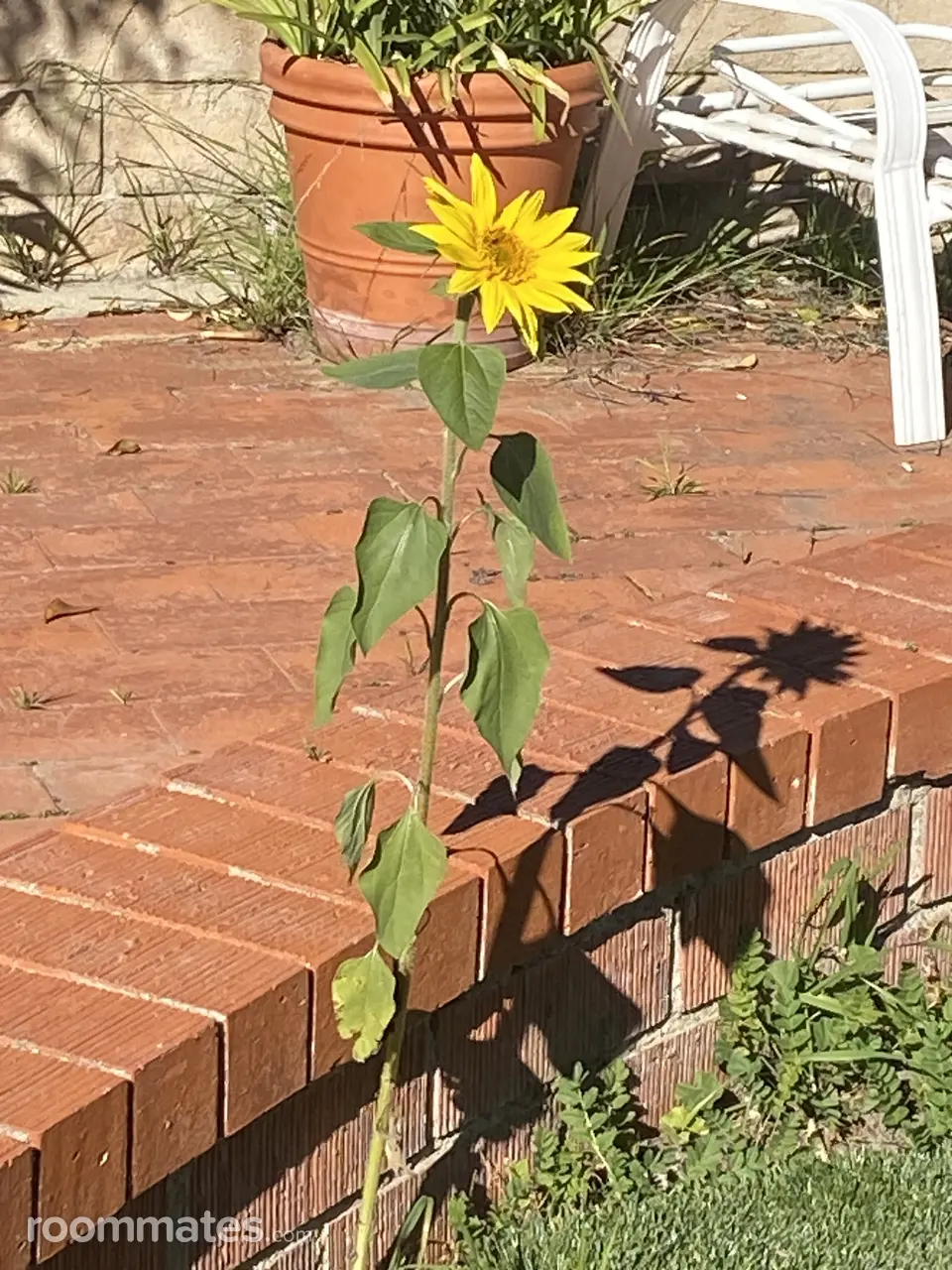 Profile photo 4 of 4