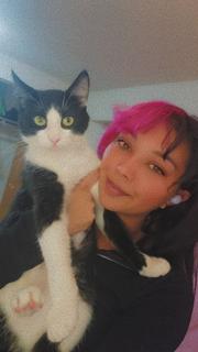 Roommate looking Lacey, WA, Lacey, WA, $1100
