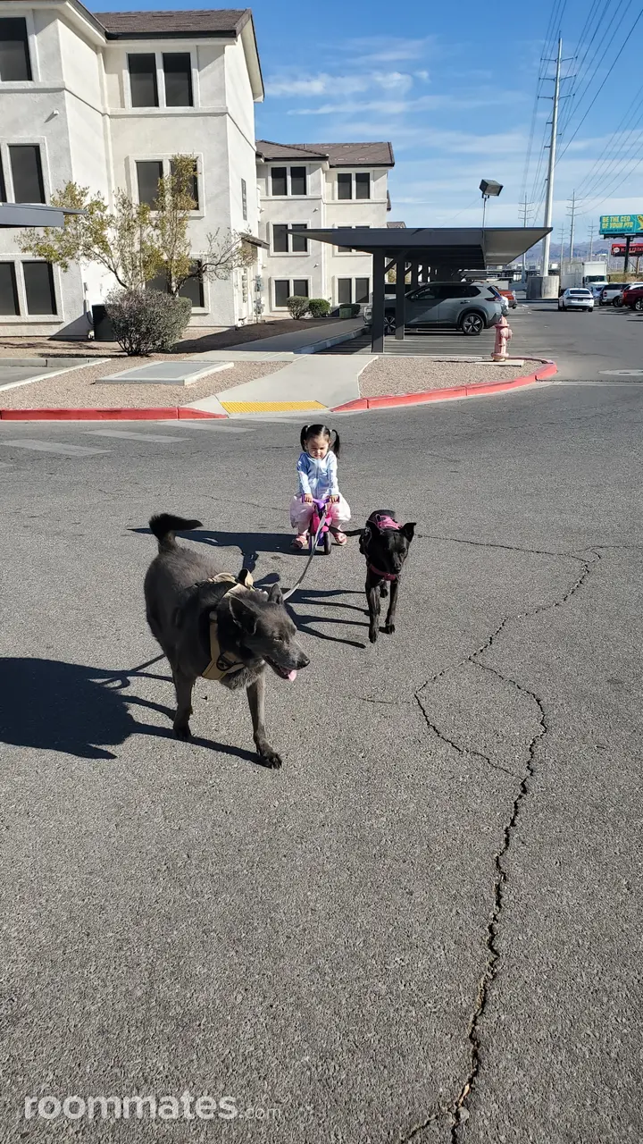 Profile photo 4 of 5