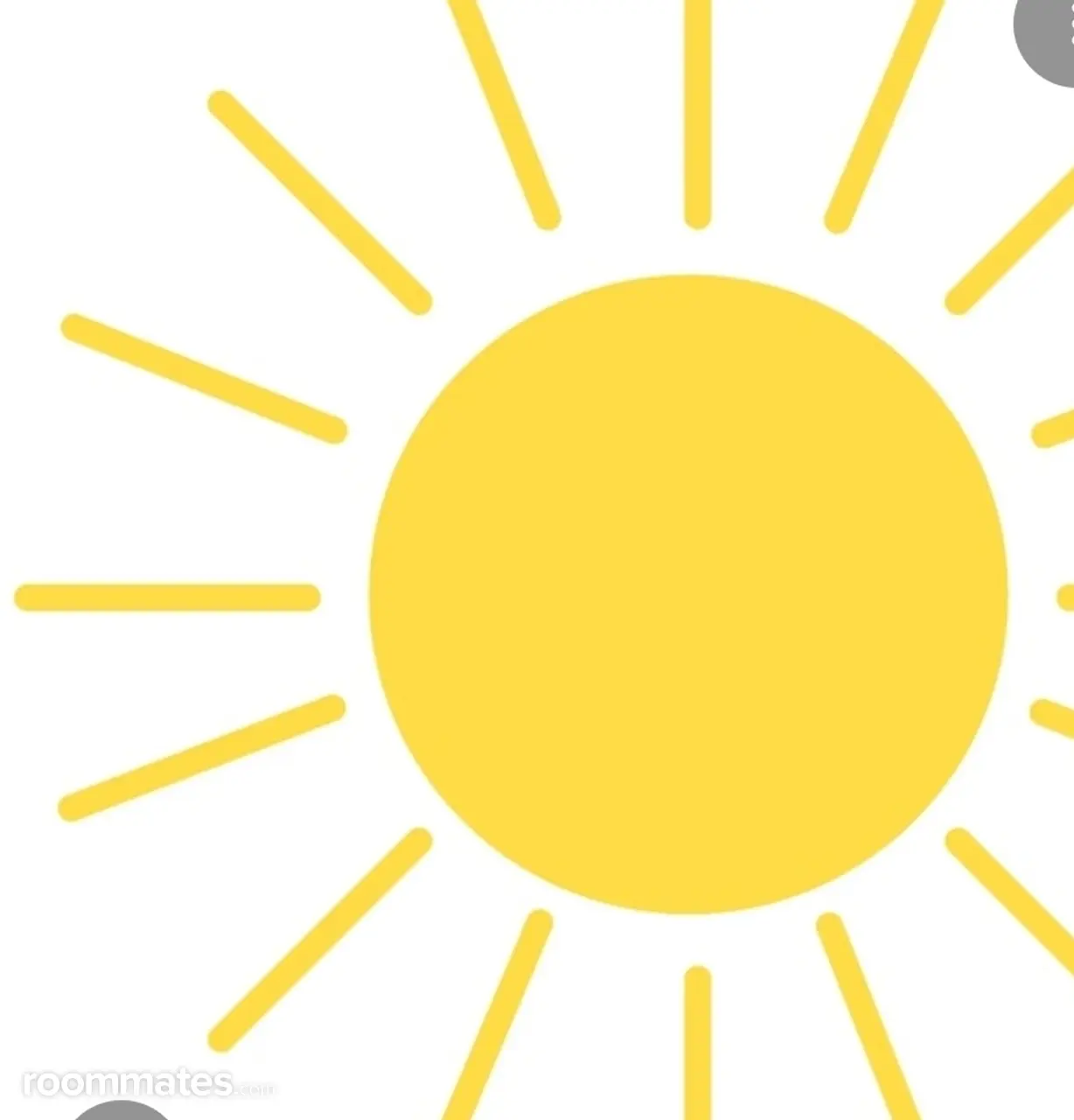 Profile photo 1 of 1