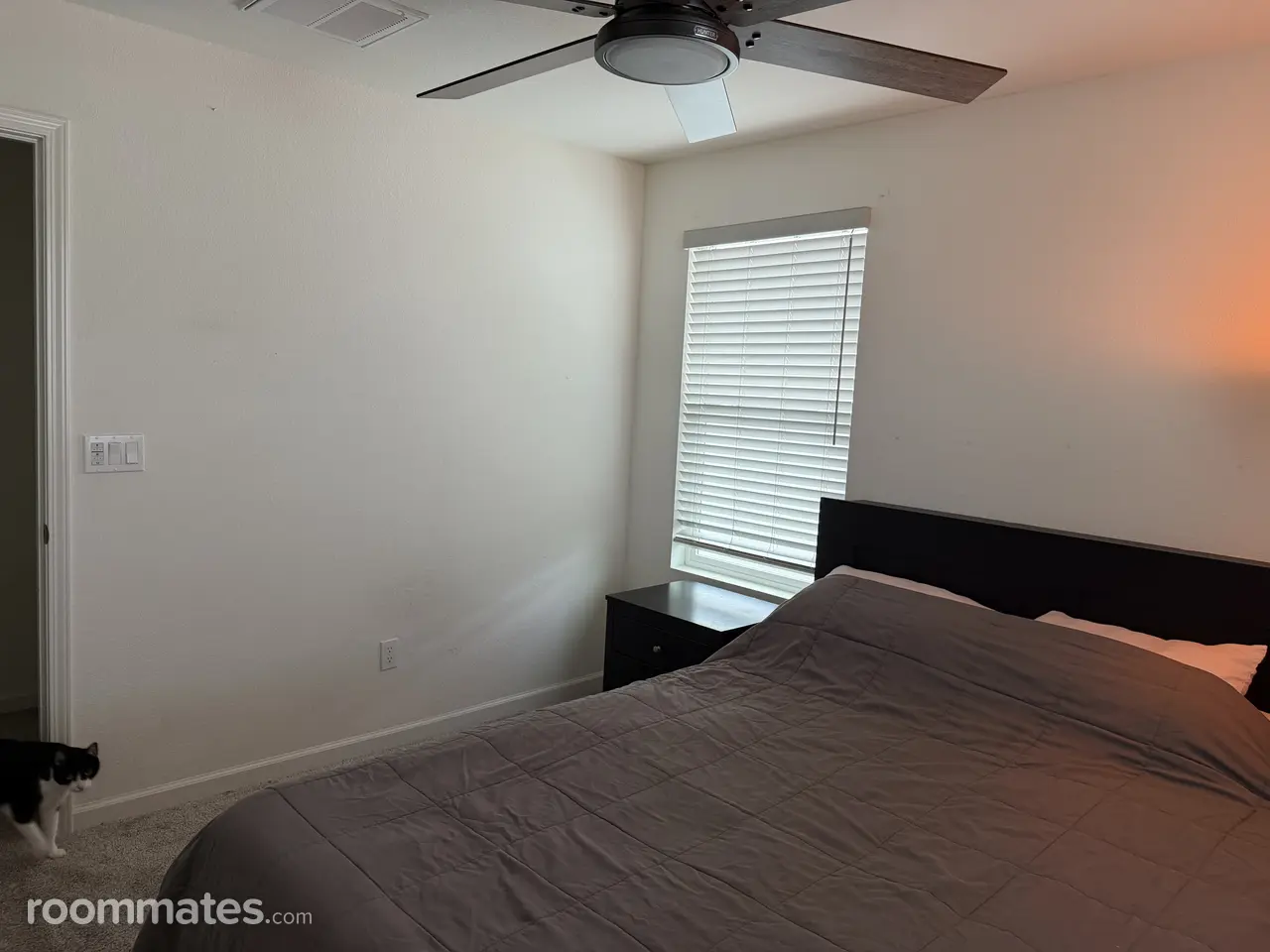 Profile photo 5 of 9