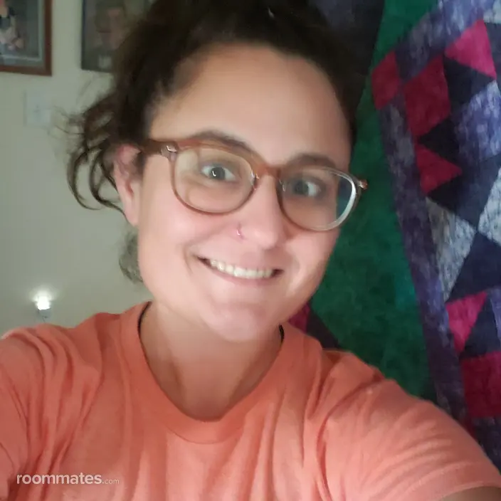 Roommate looking Meridian, ID, $700