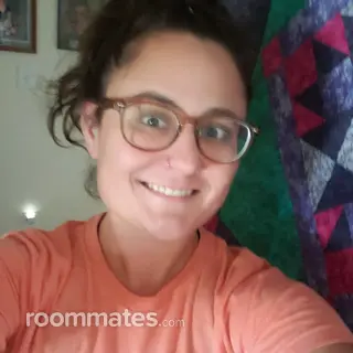 Roommate looking Meridian, ID, $800